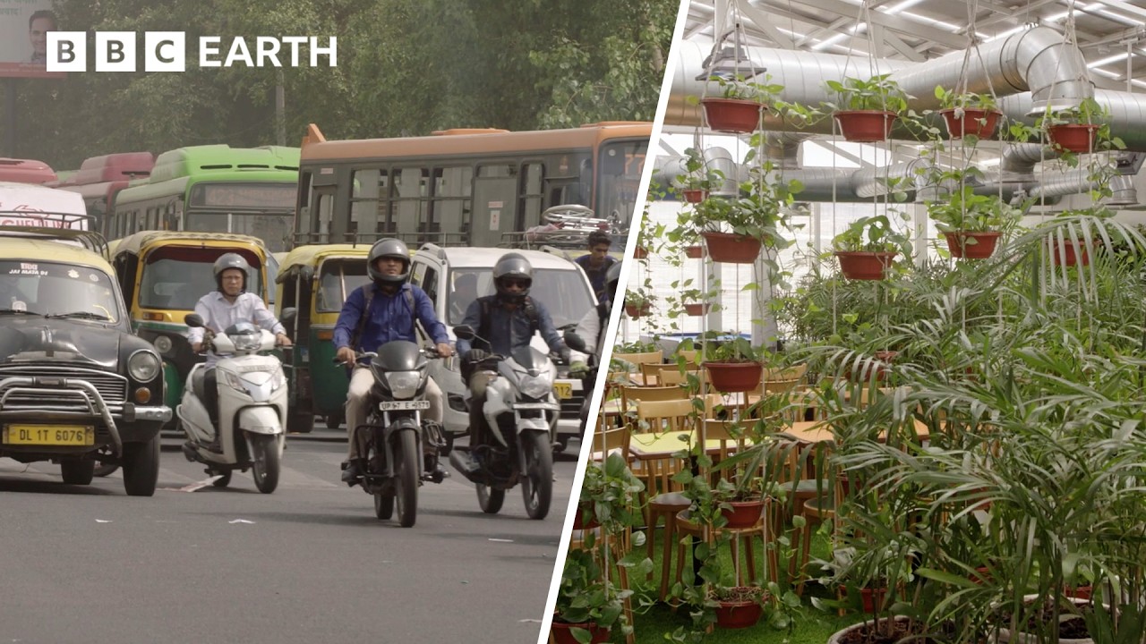 An Indoor Solution to Delhi's Air Pollution Problems | The Travel Edit