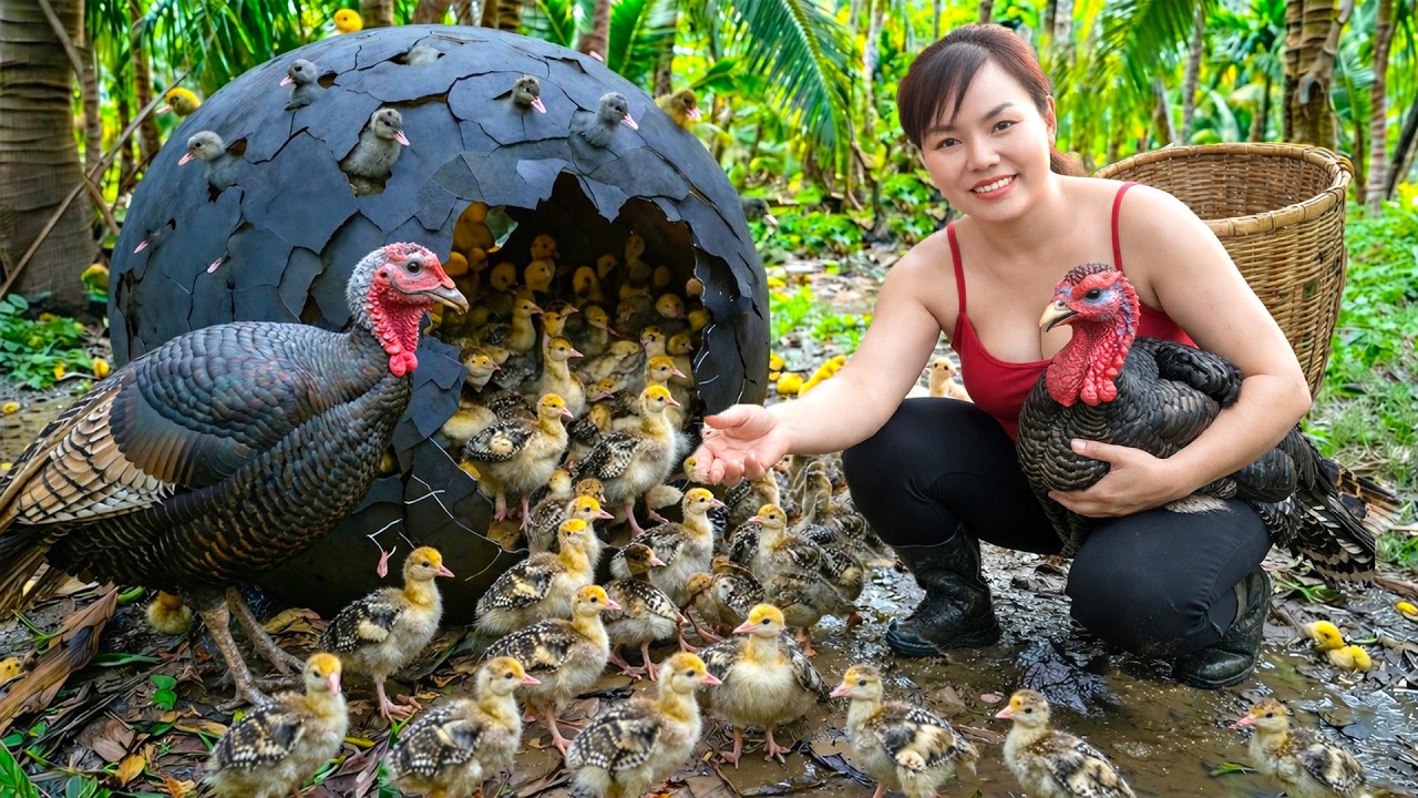 Harvesting Wild Turkeys &hellip; Then I discovered Two Turkeys About To Lay Eggs