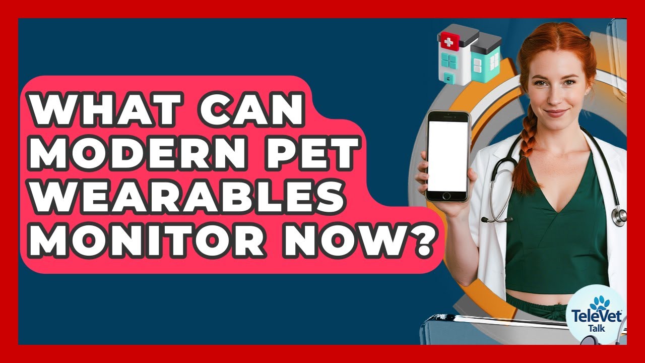 What Can Modern Pet Wearables Monitor Now? - TeleVet Talk