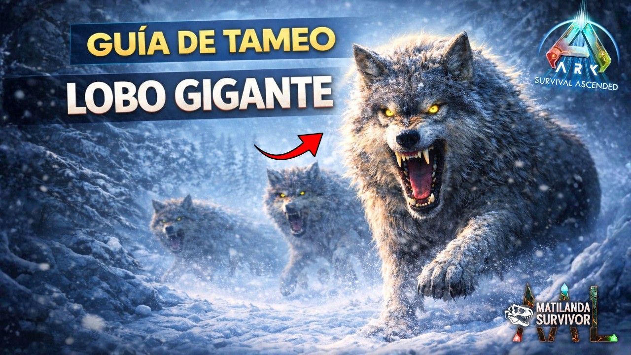 Como TAMEAR un LOBO GIGANTE en ARK Survival Ascended 🐺 | Guía de tameo Direwolf 2026