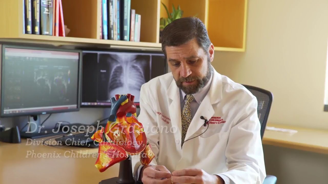 What is a Melody Valve - Credit: Phoenix Children's Heart Center