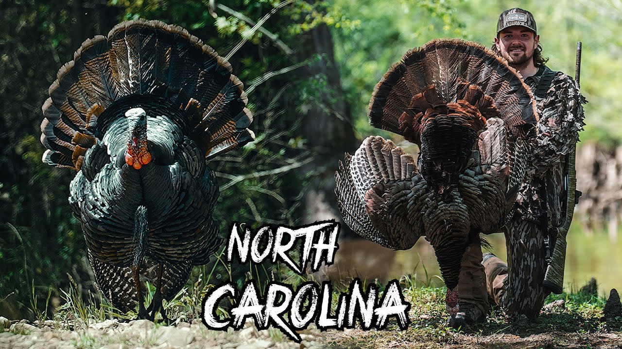 INCREDIBLE North Carolina TURKEY HUNT | HE FLEW THE CREEK TO GET TO US!