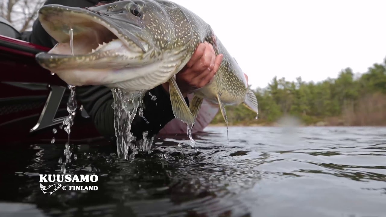 Рыболовная компания YENTO Fishing