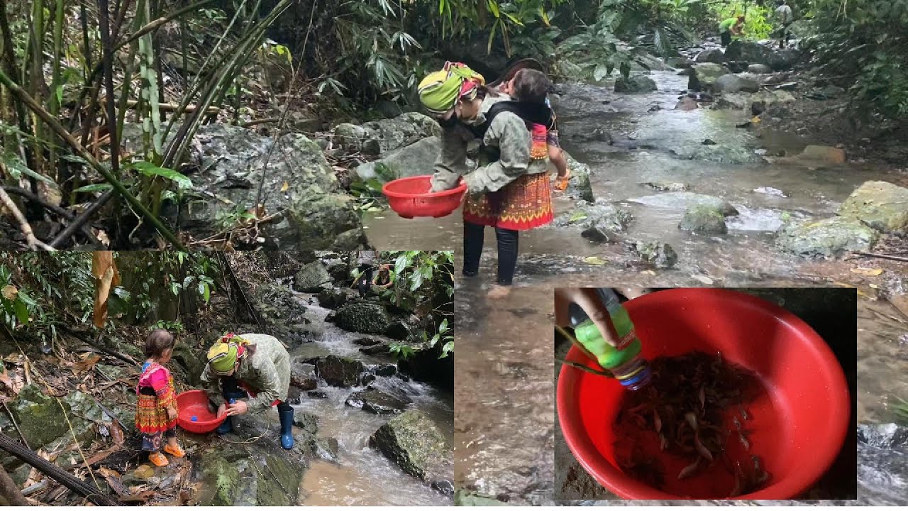 Single Mom Goes to the Stream to Catch Fish and Shrimp – A Tough Journey for Her Child