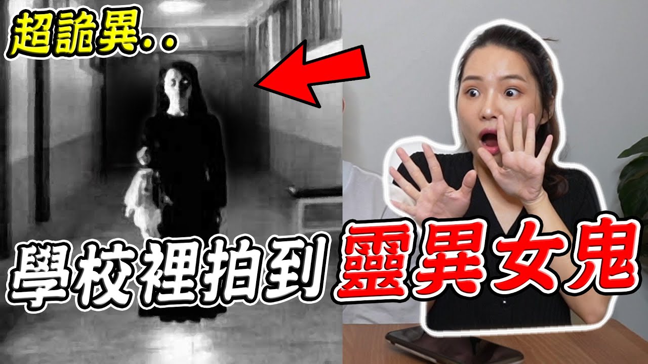 【都市傳說】十個台灣校園真實發生的恐怖靈異事件 這間大學竟最陰最多鬼魂？！【希露弟弟啃雞腿】比熊 貴賓 Bichon Frise Poodle