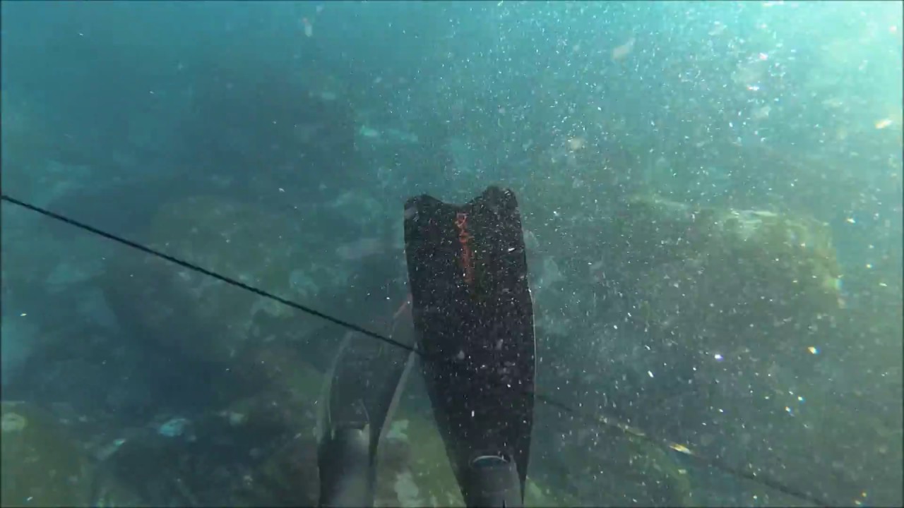 Pesca Submarina (Meio-metro de água)
