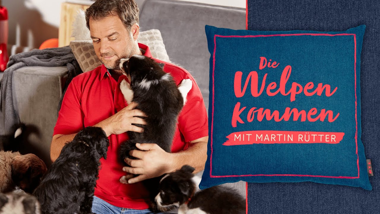 Trailer: Martin R&uuml;tter - Die Welpen kommen 🐶 | Die 4. Staffel ab dem 20. M&auml;rz bei RTL und auf RTL+