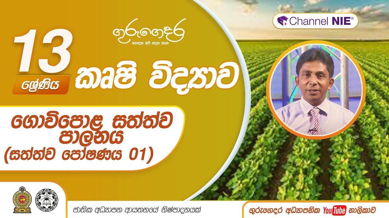 ගොවිපොළ සත්ත්ව පාලනය  (සත්ත්ව පෝෂණය 01) - Lesson 26-A/L  Agriculture (කෘෂි විද්‍යාව)