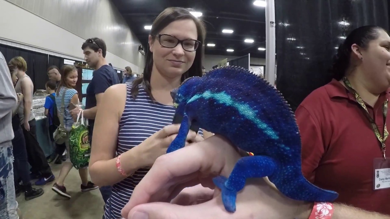 North American Reptile Breeders Conference (NARBC)