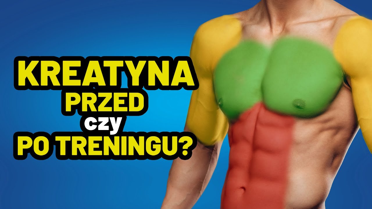 KREATYNA przed czy po treningu – kiedy działa lepiej? | OstroVit
