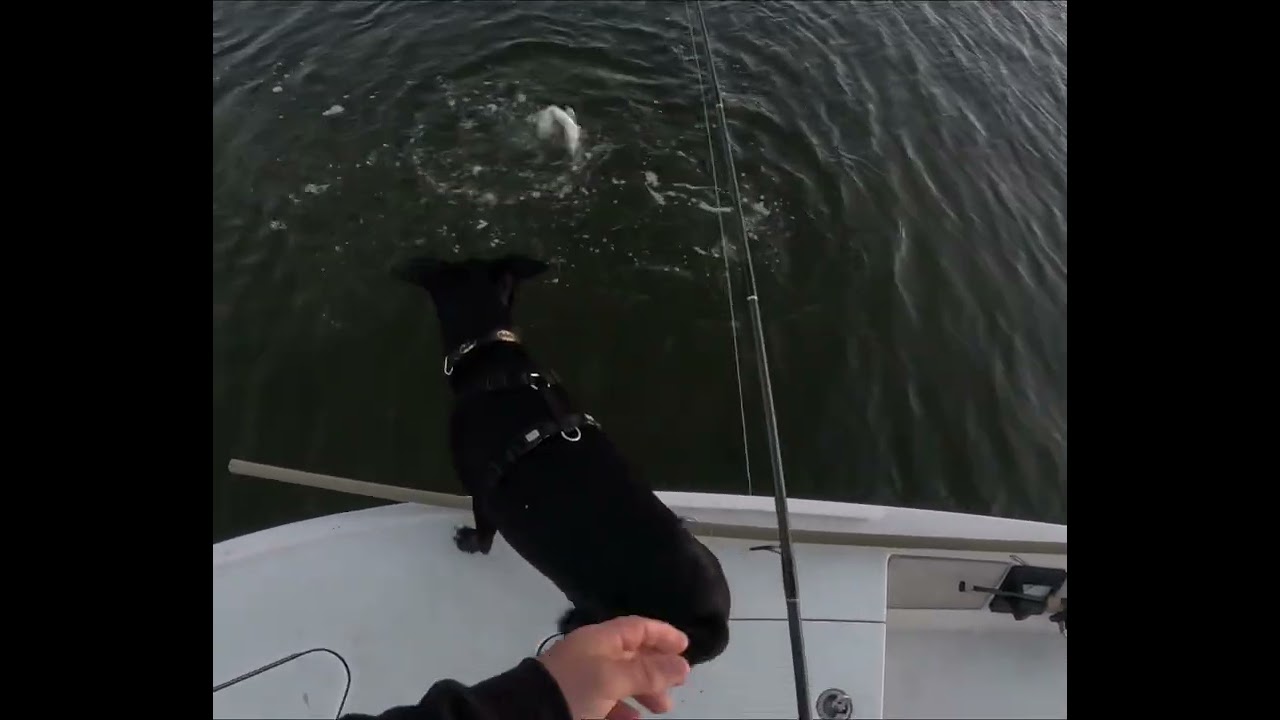 Saltwater fishing