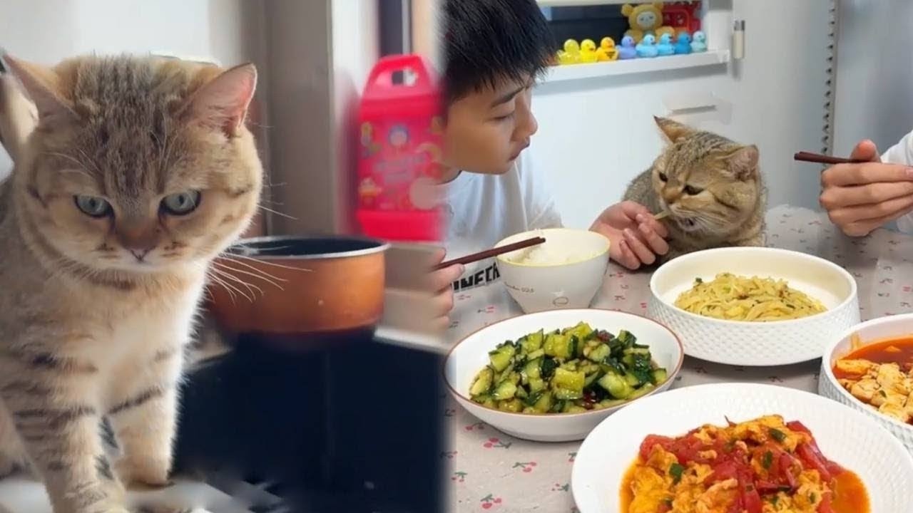 今天带招财去菜市场买菜，选品超靠谱，被哥哥妈妈一顿夸，开心炸了！