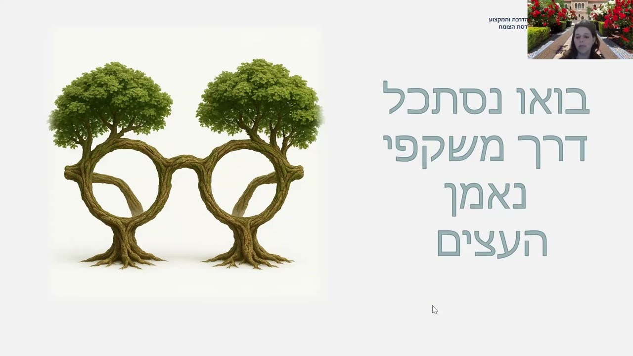 אילנות צעירים - התחלה טובה עושה את מחצית העבודה. נועם שני מי-טל