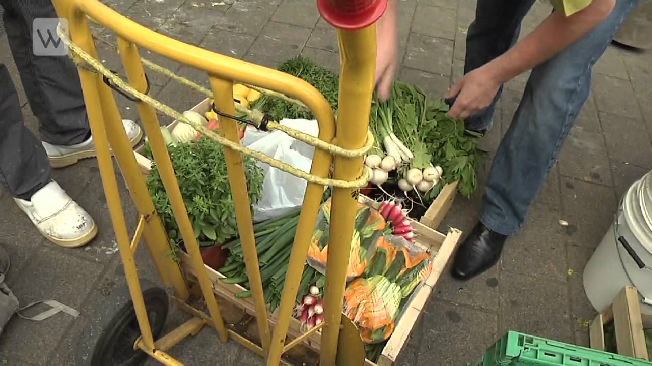 Wikibee Istres : Sur le marché avec Sébastien Richard