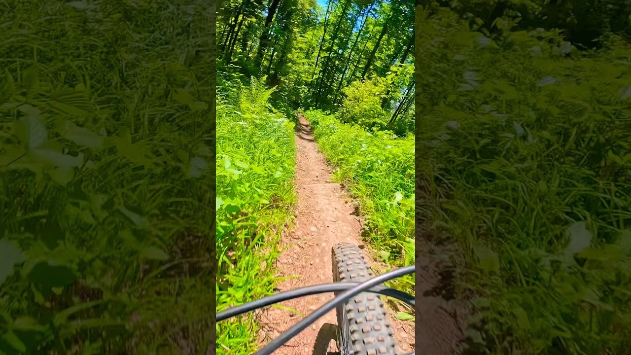 Trailday