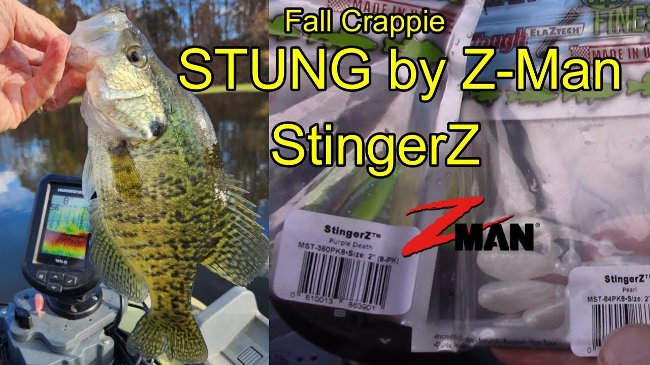 Fall Crappie Get STUNG by Z-Man Micro Finesse StingerZ