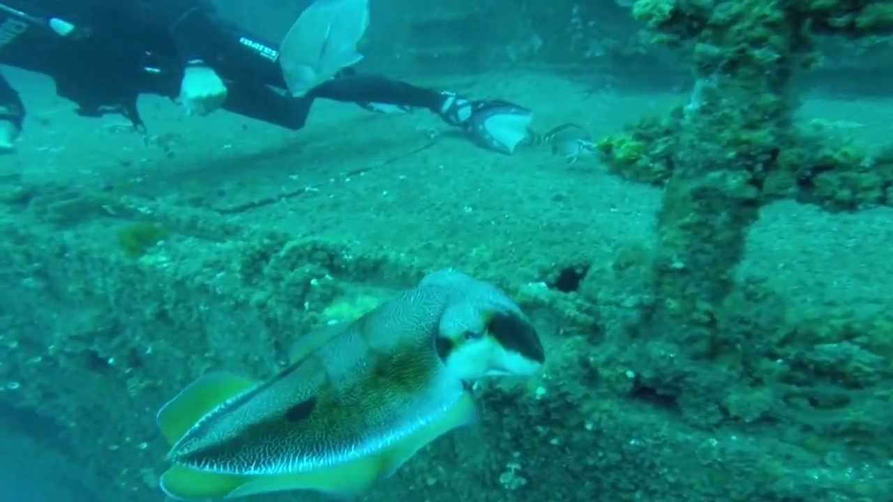 Deep Dive Specialty Course