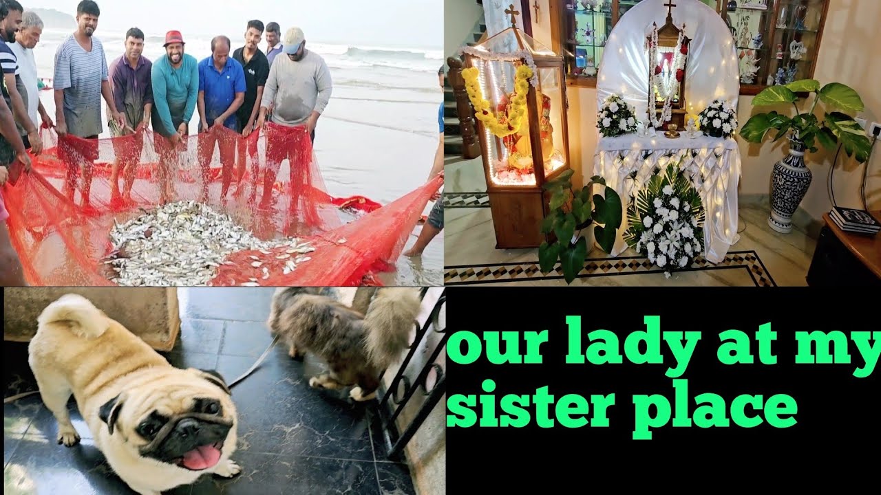 Massive Catch By Agonda Boys | Our Lady At My Sister place | Family | Goanvlogger | Konkani Vlog