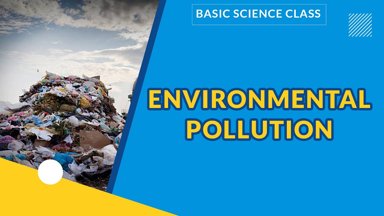 OUR ENVIROMENT IS POLLUTED | ENVIRONMENTAL POLLUTION | BASIC SCIENCE | EXAMGUIDE