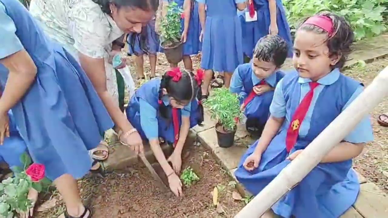 Tree Plantation day