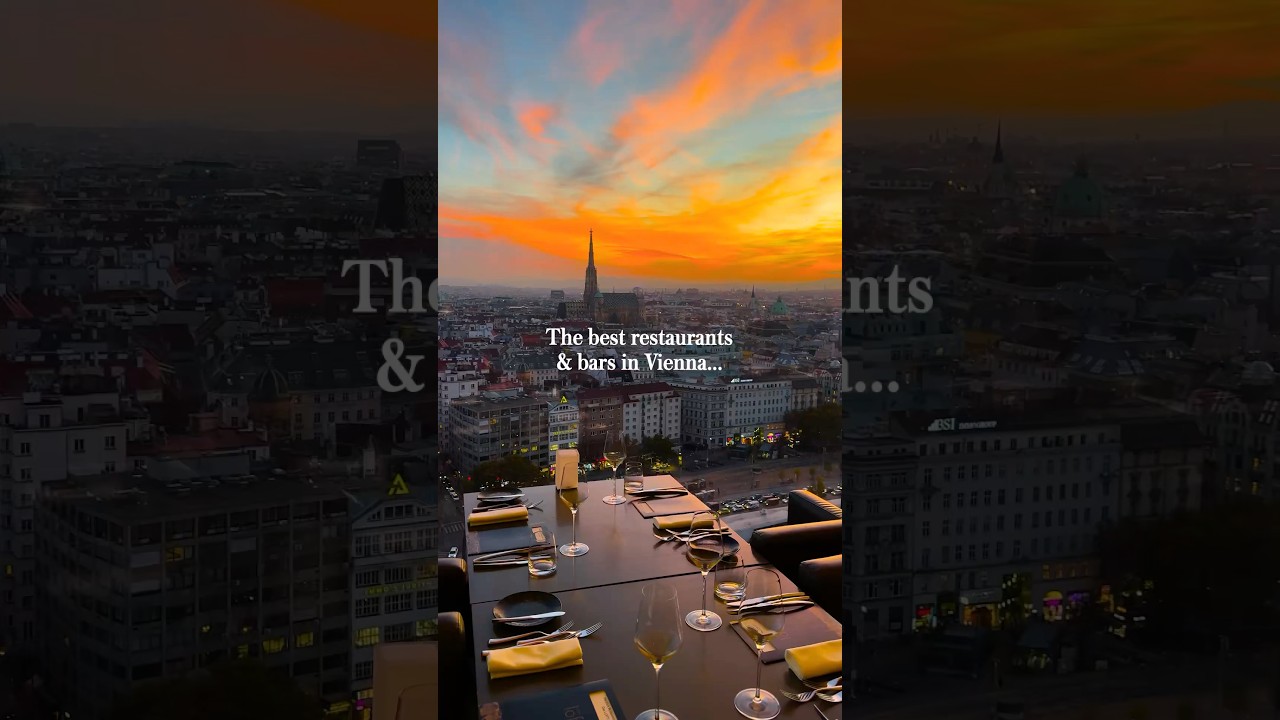 8 best bars & restaurants in Vienna, Austria 🇦🇹 #vienna things to do in Vienna #viennatravel