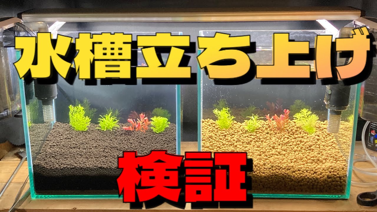 【ソイルvs赤玉土】小型水槽を２個立ち上げて違いを検証します！　赤玉土とアクアリウムソイルの違いは！