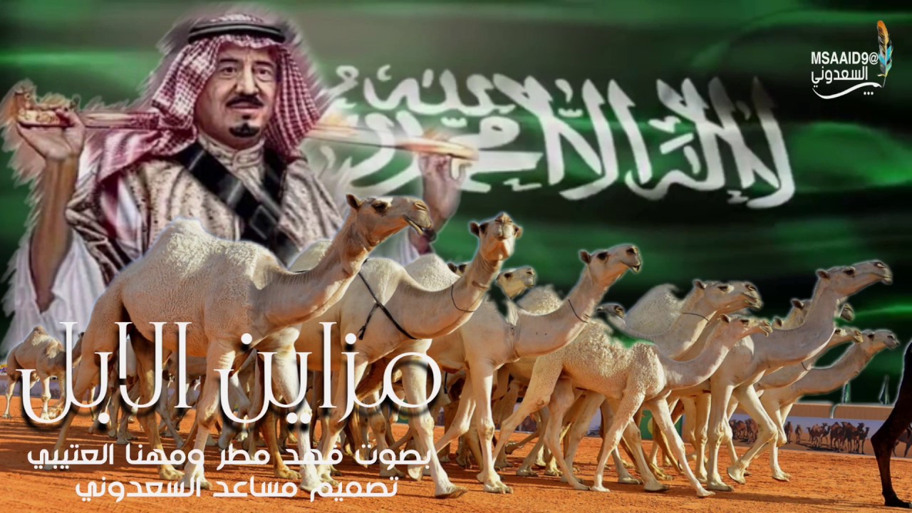 شيلة مزاين الابل | كلمات مهدي الحبابي |  بصوت فهد مطر ومهنا العتيبي | تصميم مساعد السعدوني