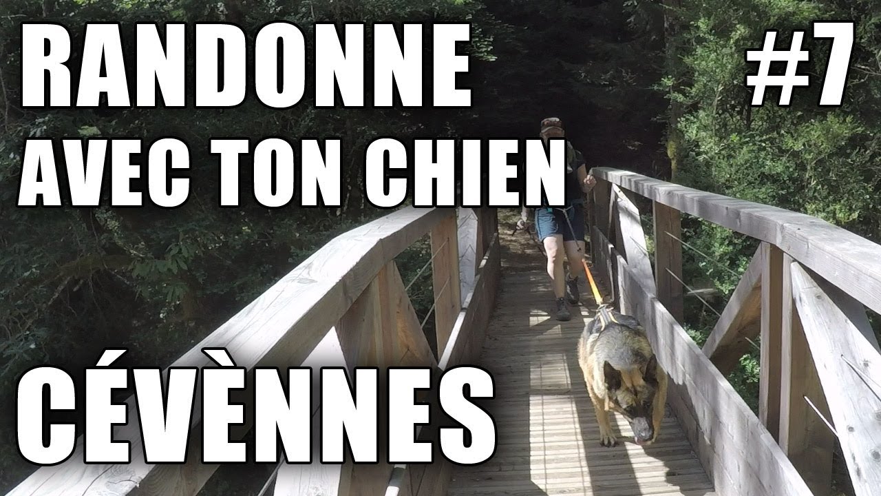 Randonnée cévènnes | Le sentier des morts à Camprieu [Vlog #7]