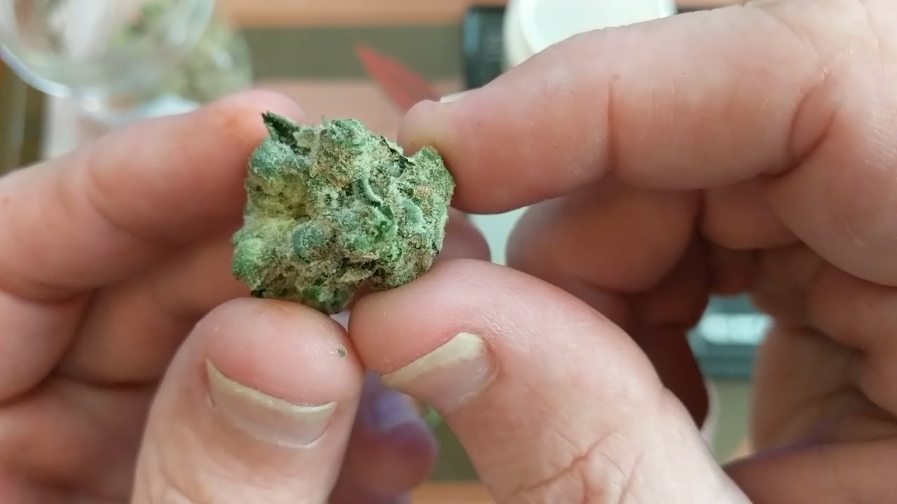 Sunset Sherbet x Kush Mints 29% Trulieve Cultivar