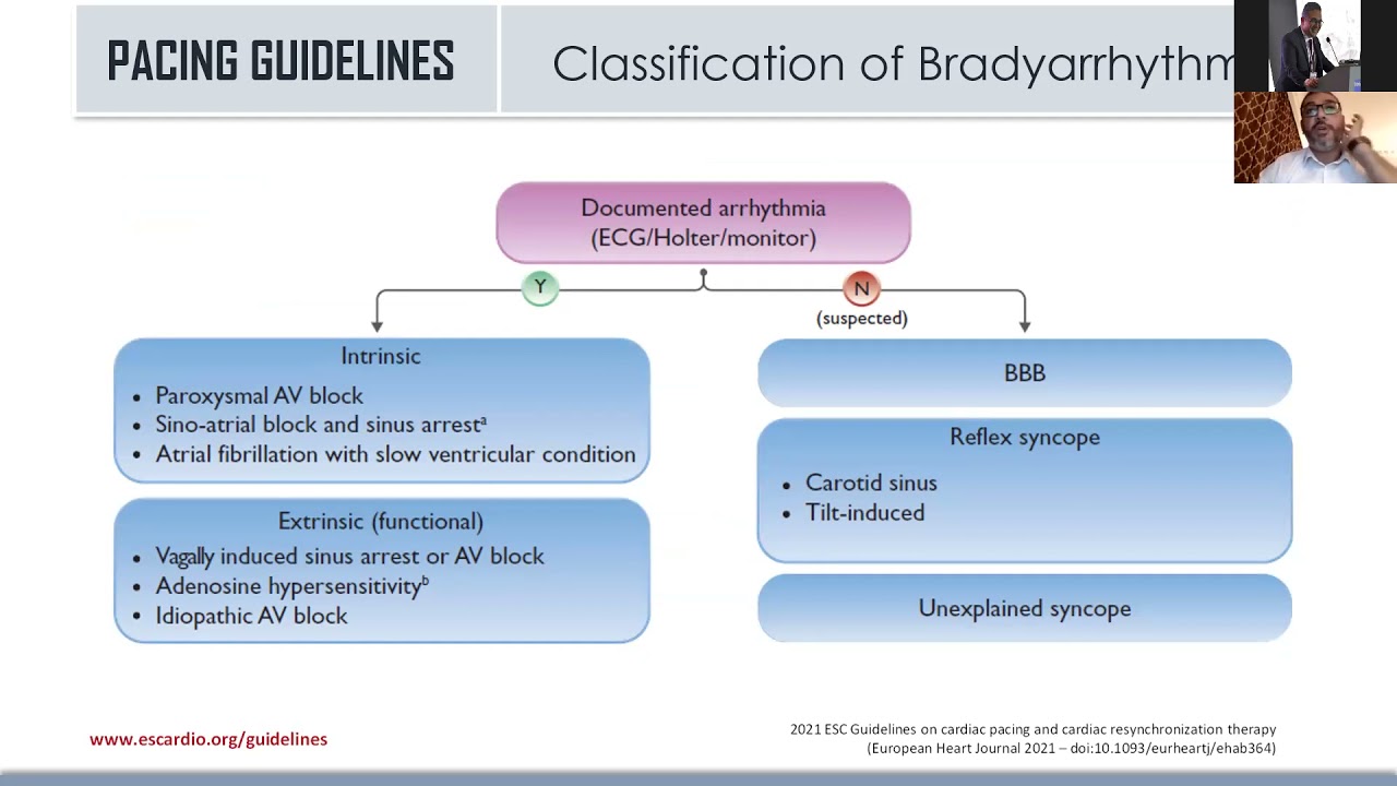 Best of ESC wave 4  Preventive Guidelines