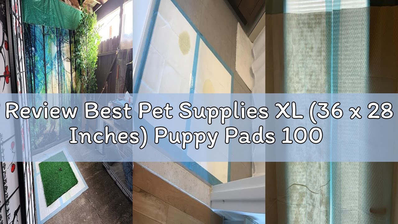 Review Best Pet Supplies XL (36 x 28 Inches) Puppy Pads 100 Count - Super Absorbent Dog Training Pad