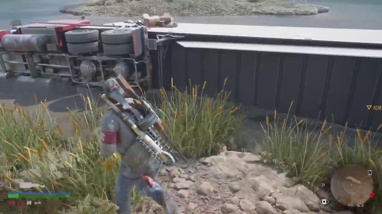 Days Gone