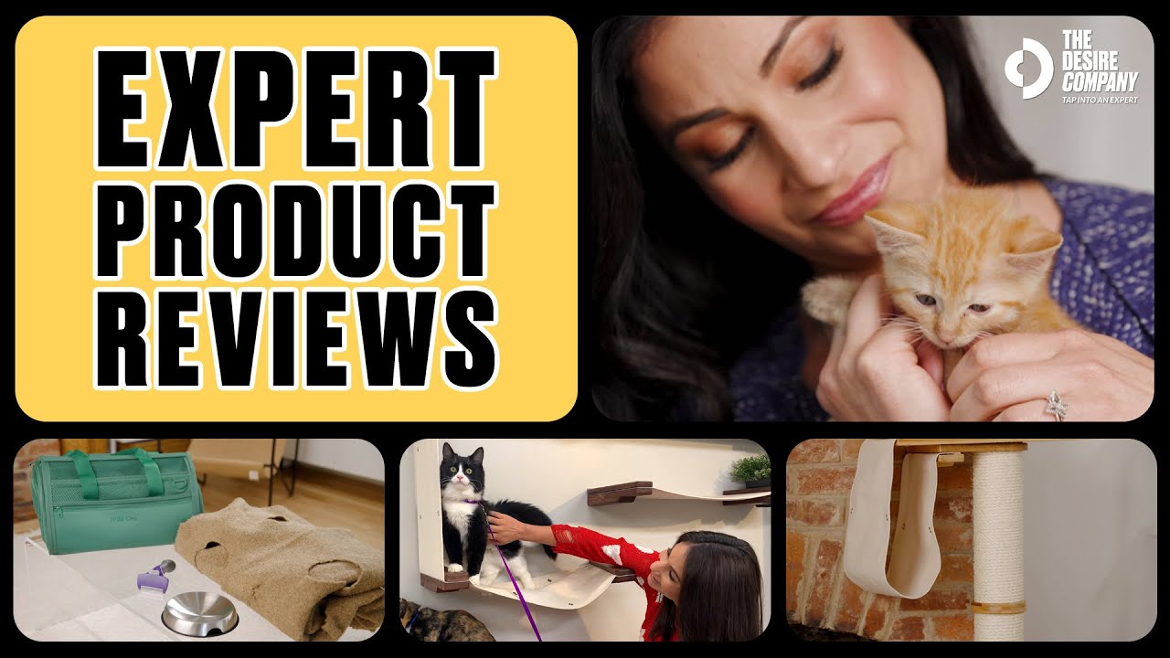 5 Cat Essentials Recommended by an Expert