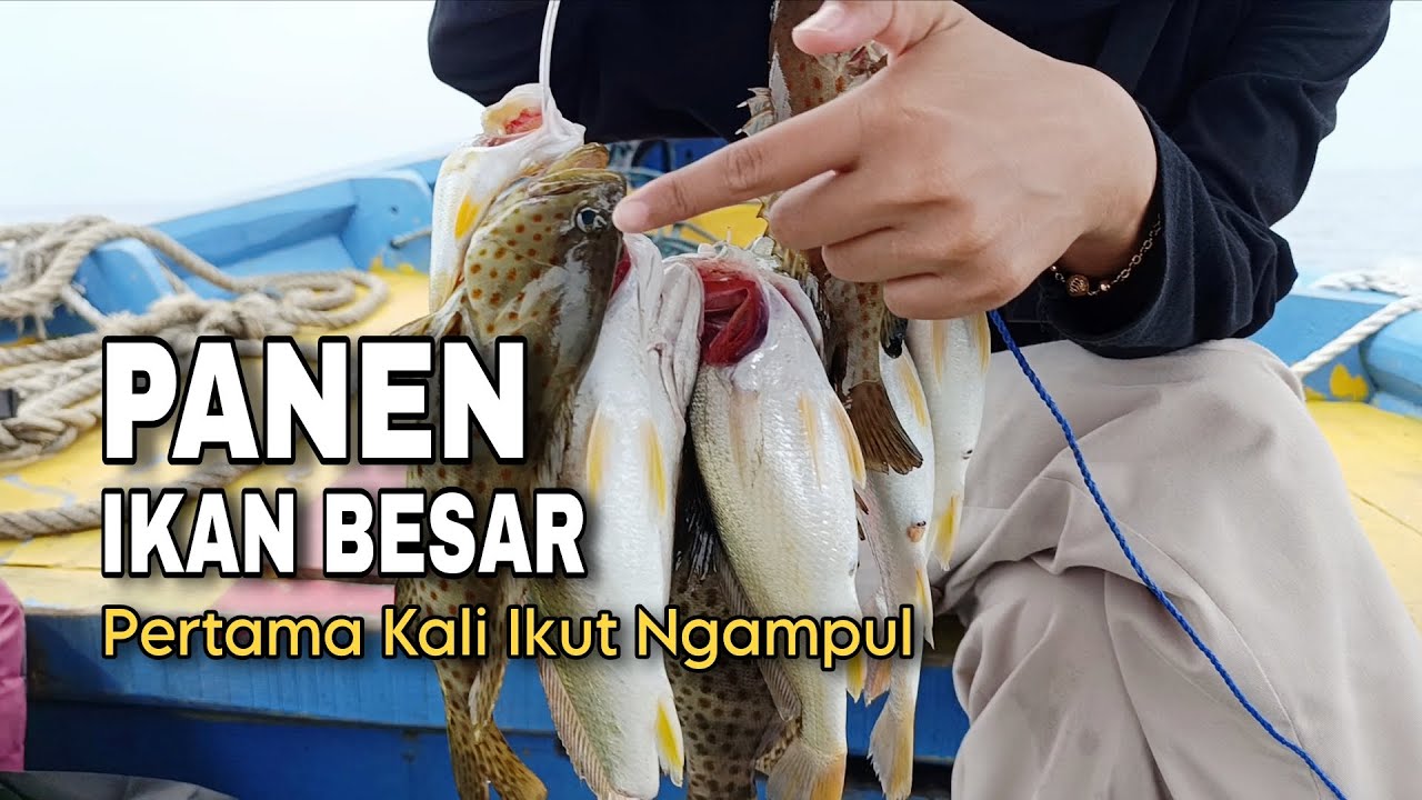 Mantap! Panen Ikan Besar 🔥🔥🔥 | Pertama Kali Ikut Mancing (Ngampul) Spot Dam Merah & Dam Ijo Semarang