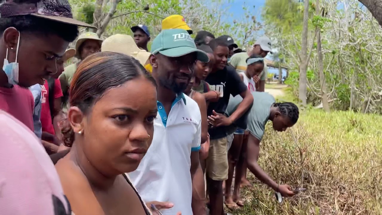 (⛵️ÎLE AUX COCOS🏝) Activité:Organisé par l’assemblée régionale et Commission des la jeunesse￼￼.