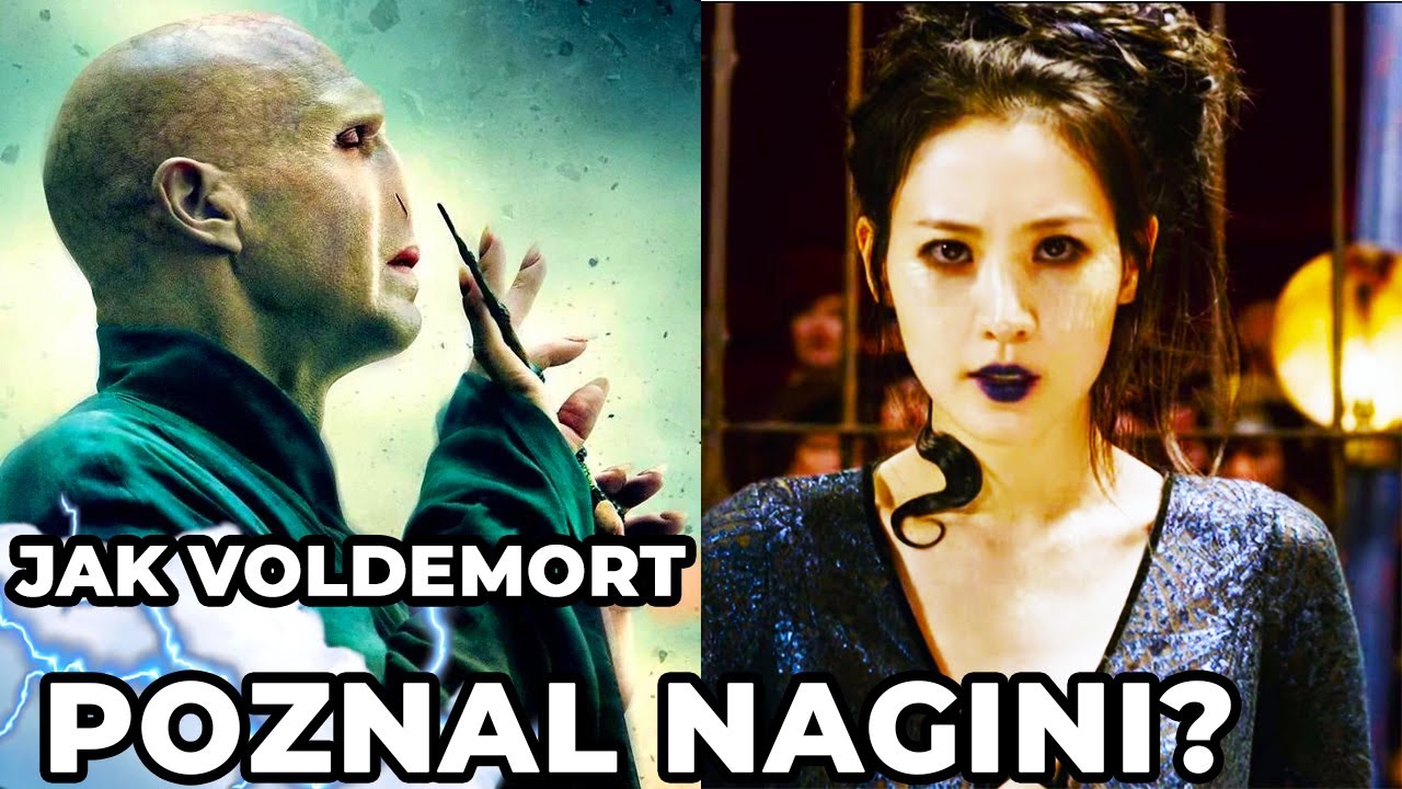 JAK VOLDEMORT POTKAL NAGINI?!