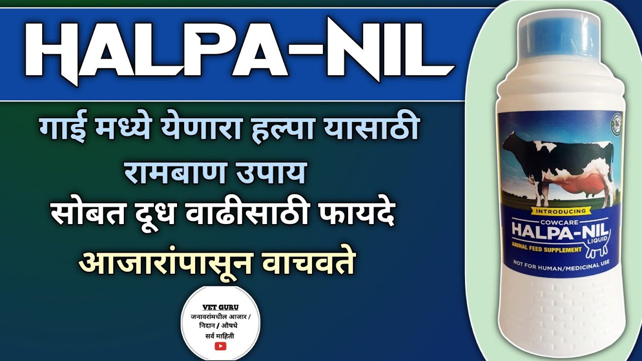 Halpanil Liquid||गाई मध्ये येणारा हल्पा यासाठी रामबाण उपाय||सोबत आणखी खूप फायदे||Halpanil Liquid