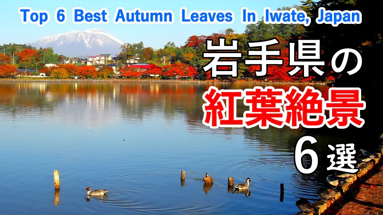 岩手県の紅葉絶景ベスト6選 / 八幡平・馬仙峡・久慈渓流・高松の池・盛岡城跡公園・石割桜 / Top 6 best autumn leaves in Iwate Prefecture, Japan