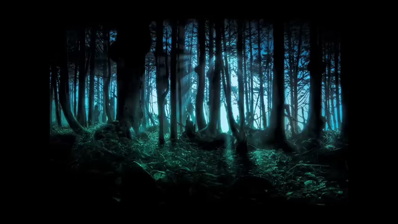 frederic chopinthe mysterious forest 1 hour version