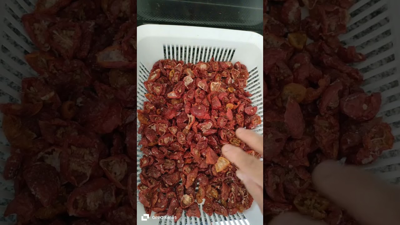 تصبير الطماطم سوريز الشريحة في الزيت conservation de tomates cerises séchées à l'huile