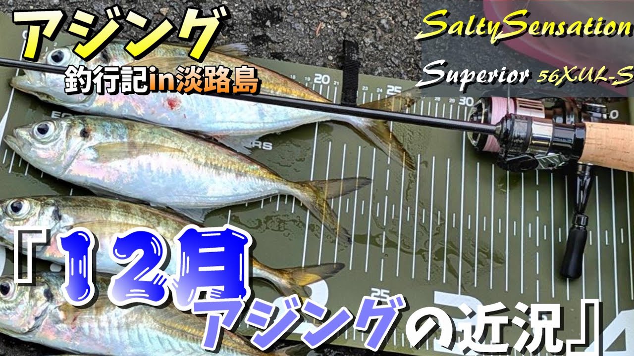 【アジング釣行記in淡路島】12月4日（水）のアジング調査🐟️新しいロッドを手に良型目指して淡路島へ🐟　【ソルティーセンセーションスペリオル：トゥイッギー】、【エーテル:プロキシマ】