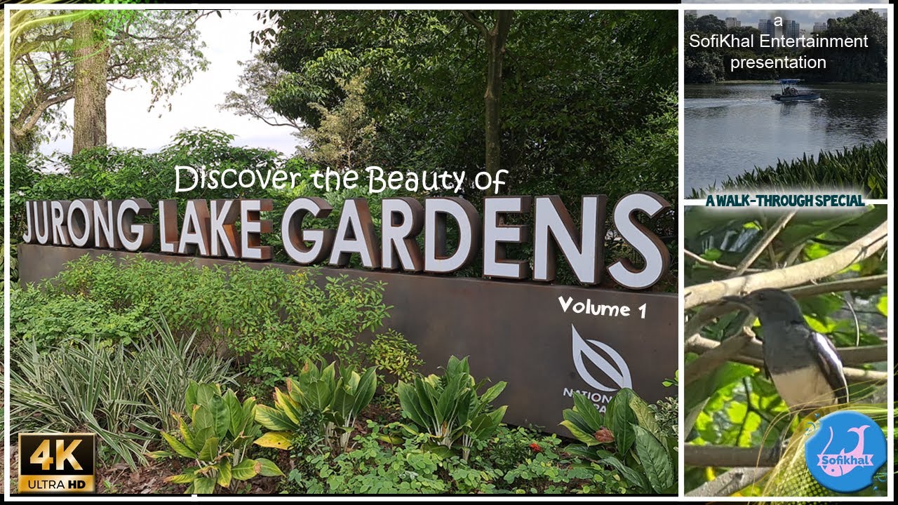 Discover the Beauty of Jurong Lake Garden, Singapore in 2023 | Travel Vlog