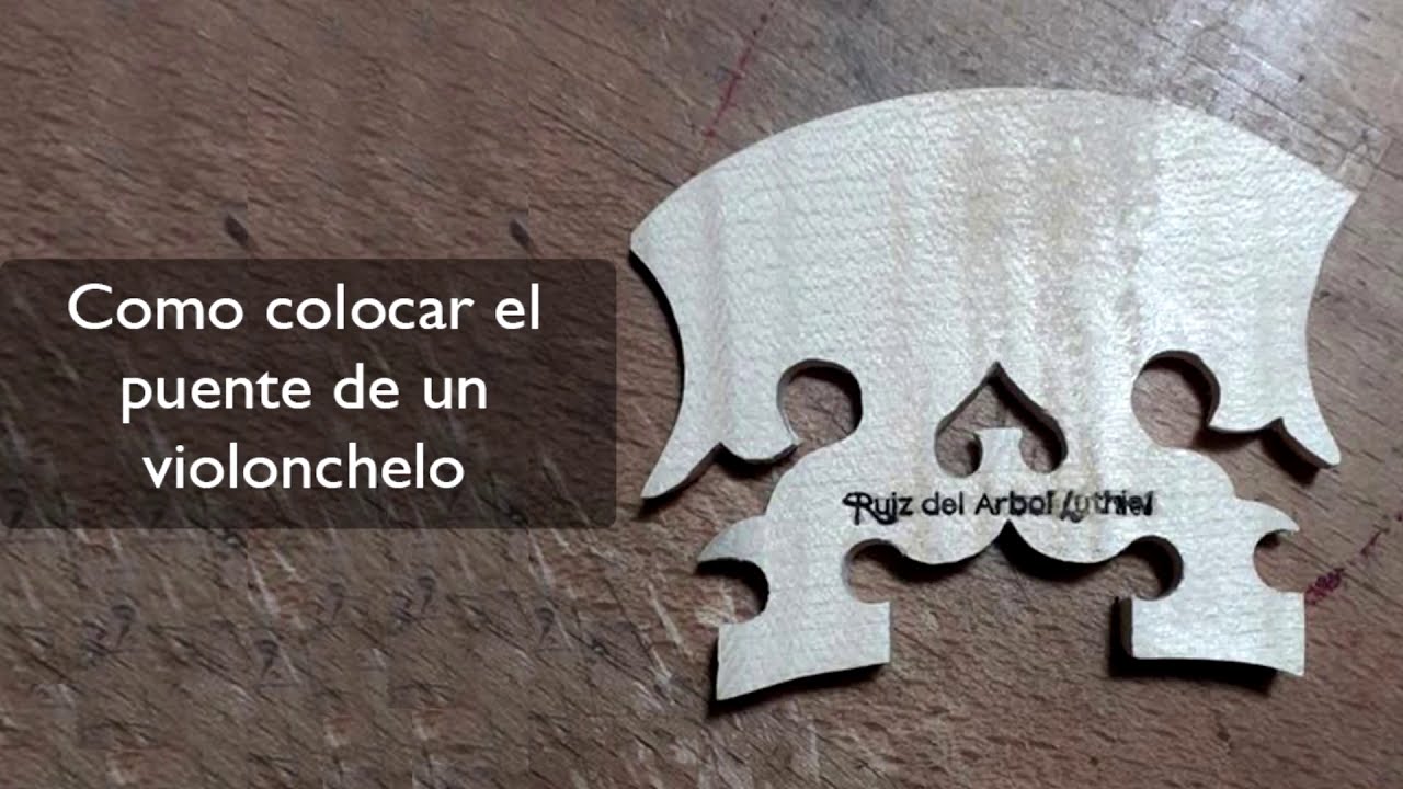 como poner el puente de un violonchelo