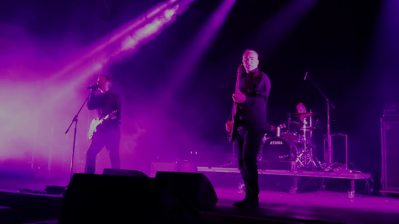 Pink Turns Blue    2019