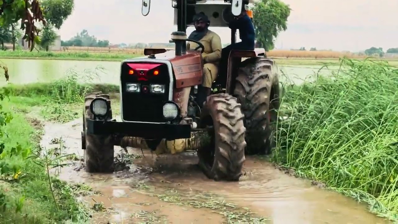 ARSAL FARM