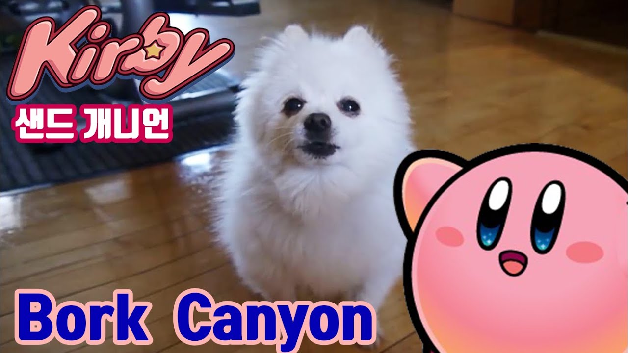 별의 커비 Sand Canyon 강아지 리믹스 (Kirby BGM Dog cover)