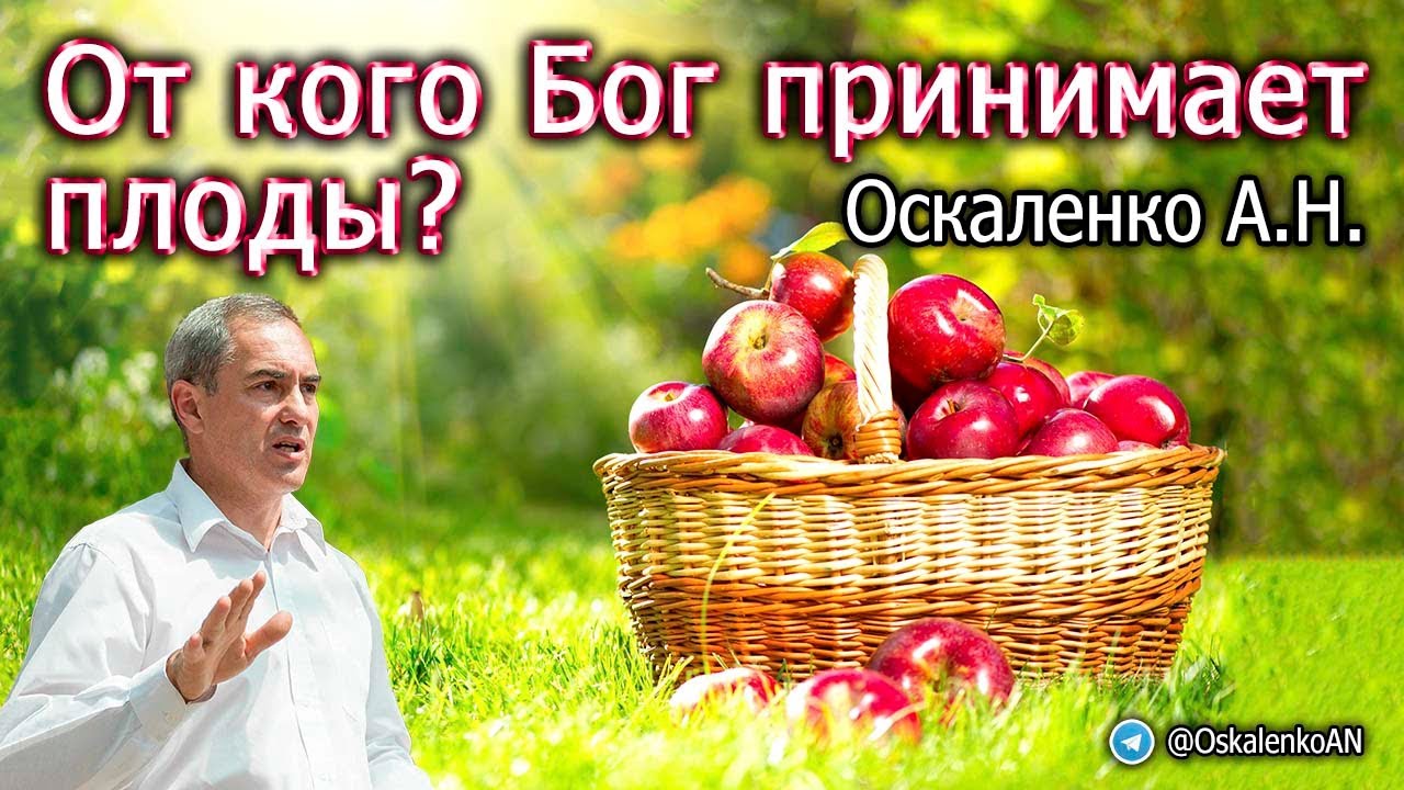 Оскаленко А.Н. От кого Бог принимает плоды?