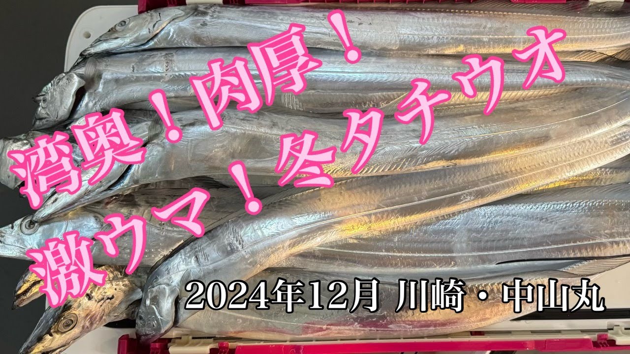 湾奥！肉厚！激ウマ冬天秤タチウオ（川崎・中山丸）