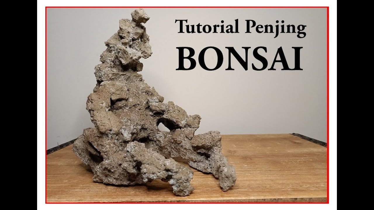 Penjing Bonsai - paso a paso - Video tutorial