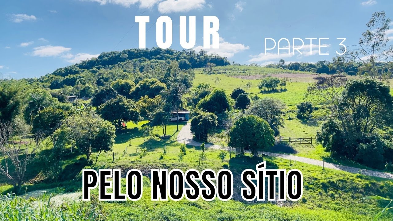 ❤TOUR PELO NOSSO SÍTIO💚 PARTE 3 DE 3 | MOSTREI +FRUTÍFERAS,MACAQUINHOS E O CÓRREGO